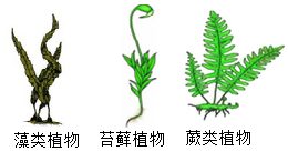 菁優(yōu)網