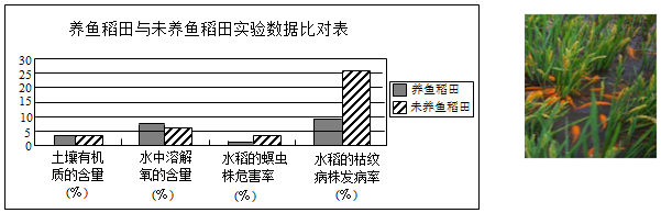 菁優(yōu)網