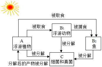 菁優(yōu)網(wǎng)