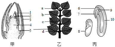 菁優(yōu)網(wǎng)