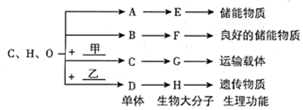 菁優(yōu)網(wǎng)