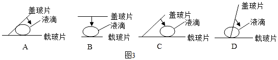 菁優(yōu)網