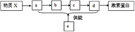 菁優(yōu)網(wǎng)