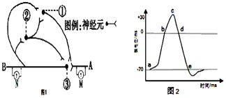 菁優(yōu)網(wǎng)