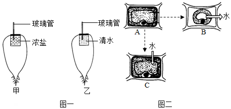 菁優(yōu)網(wǎng)