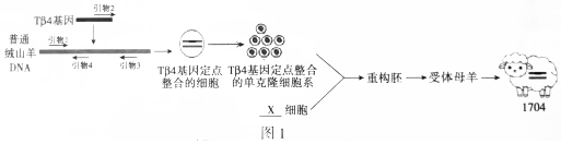 菁優(yōu)網