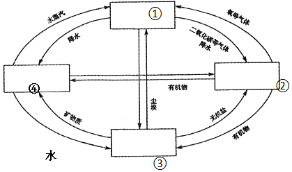 菁優(yōu)網(wǎng)