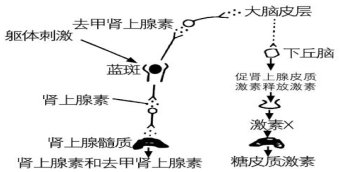 菁優(yōu)網