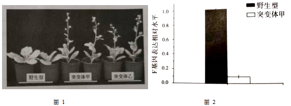 菁優(yōu)網