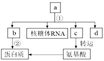 菁優(yōu)網