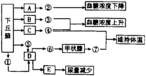 菁優(yōu)網(wǎng)