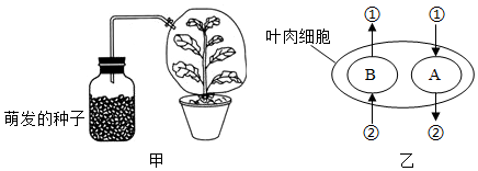 菁優(yōu)網(wǎng)