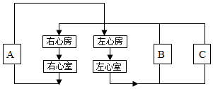 菁優(yōu)網(wǎng)