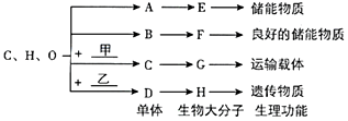 菁優(yōu)網(wǎng)