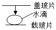 菁優(yōu)網