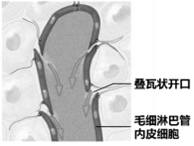 菁優(yōu)網