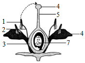 菁優(yōu)網(wǎng)