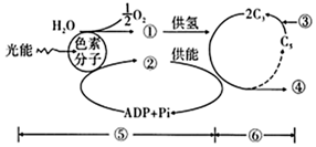 菁優(yōu)網