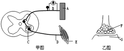 菁優(yōu)網(wǎng)