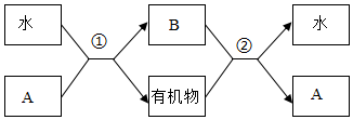 菁優(yōu)網(wǎng)