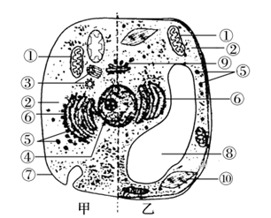 菁優(yōu)網