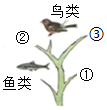 菁優(yōu)網(wǎng)