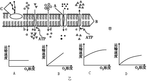 菁優(yōu)網(wǎng)