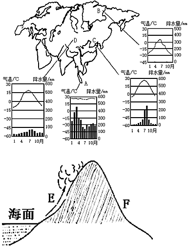 菁優(yōu)網(wǎng)