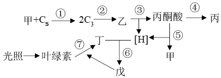 菁優(yōu)網(wǎng)