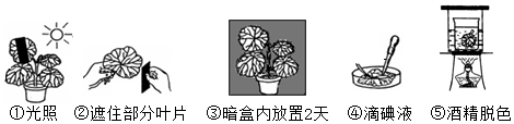 菁優(yōu)網