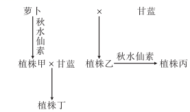 菁優(yōu)網