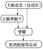 菁優(yōu)網(wǎng)