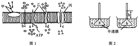 菁優(yōu)網(wǎng)