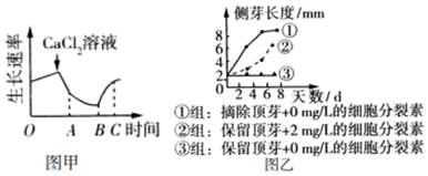 菁優(yōu)網