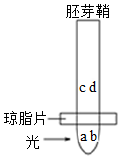 菁優(yōu)網(wǎng)