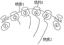 菁優(yōu)網(wǎng)