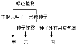 菁優(yōu)網