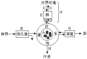 菁優(yōu)網(wǎng)