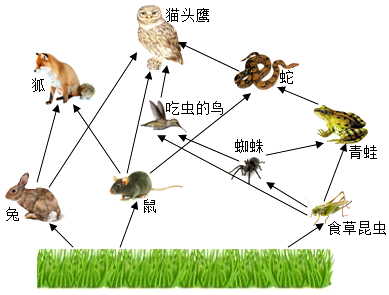 菁優(yōu)網