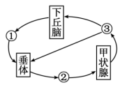 菁優(yōu)網(wǎng)