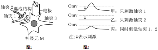 菁優(yōu)網(wǎng)