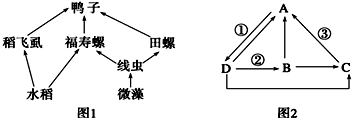 菁優(yōu)網(wǎng)