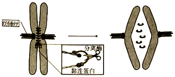 菁優(yōu)網