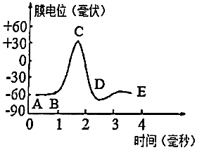 菁優(yōu)網(wǎng)