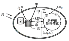 菁優(yōu)網(wǎng)