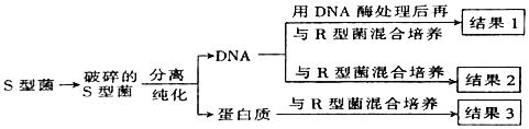 菁優(yōu)網