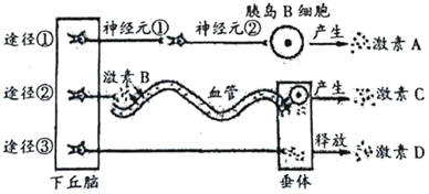 菁優(yōu)網(wǎng)