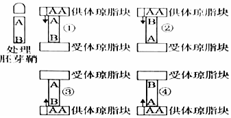 菁優(yōu)網