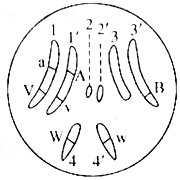 菁優(yōu)網