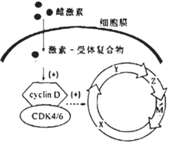 菁優(yōu)網